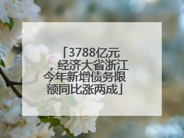 3788亿元，经济大省浙江今年新增债务限额同比涨两成