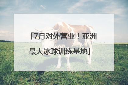 7月对外营业！亚洲最大冰球训练基地