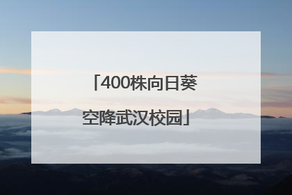 400株向日葵空降武汉校园