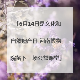 6月14日是文化和自然遗产日 河南博物院备下一场公益课堂