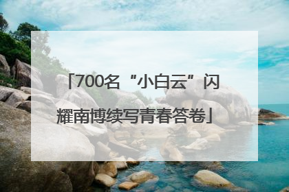 700名“小白云”闪耀南博续写青春答卷