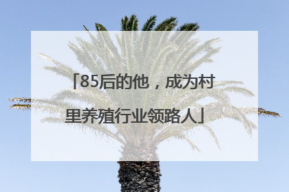 85后的他，成为村里养殖行业领路人