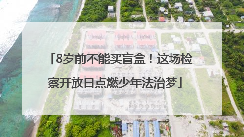 8岁前不能买盲盒！这场检察开放日点燃少年法治梦