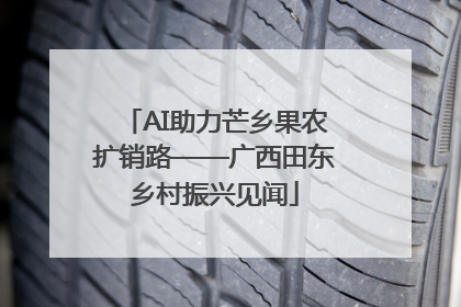 AI助力芒乡果农扩销路——广西田东乡村振兴见闻
