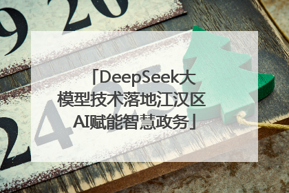 DeepSeek大模型技术落地江汉区 AI赋能智慧政务
