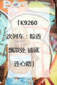 K9260次列车：粽香飘散处 铺就连心路