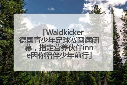 Waldkicker德国青少年足球赛圆满闭幕，指定营养伙伴inne因你陪伴少年前行