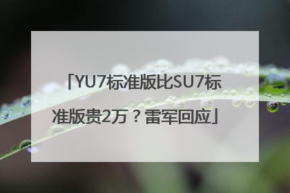 YU7标准版比SU7标准版贵2万？雷军回应